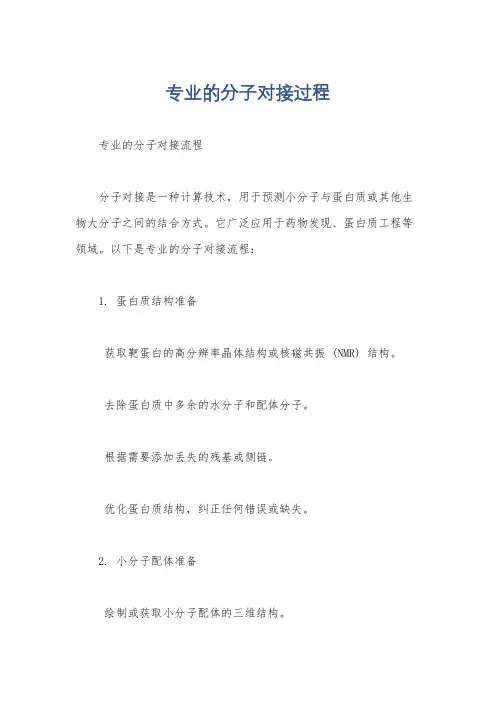 专业的分子对接过程