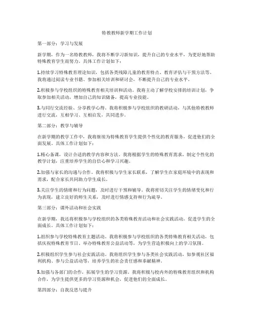 特教教师新学期工作计划