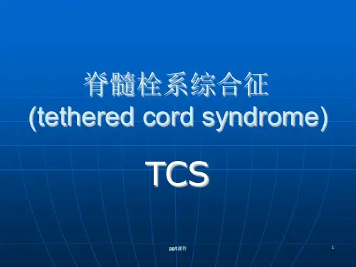 脊髓栓系综合征  ppt课件