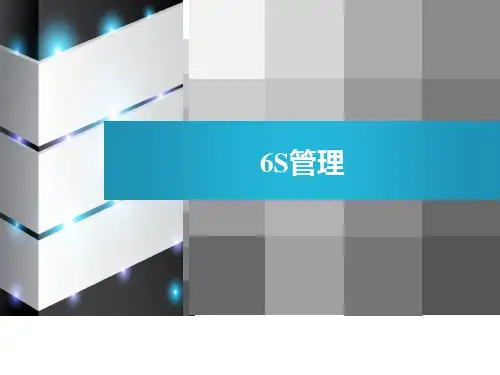 精选6S管理课程PPT52页gss