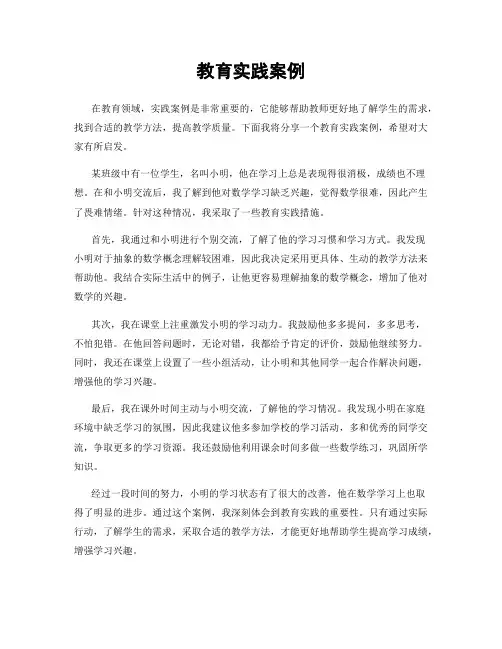 教育实践案例