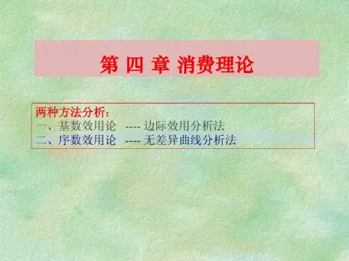 经济学 消费理论(2)考试第一题