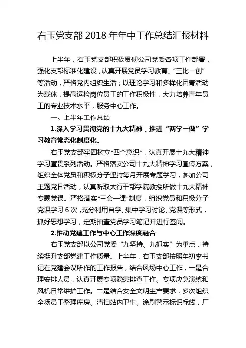 党支部2018年年中工作总结及下半年工作计划