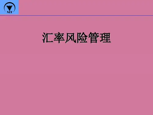 汇率风险管理ppt课件