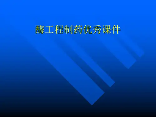 酶工程制药优秀课件