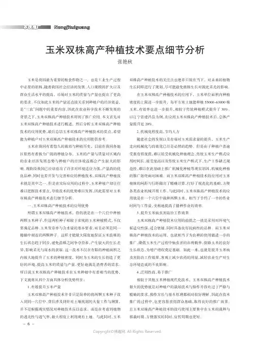 玉米双株高产种植技术要点细节分析