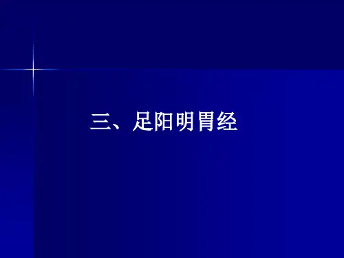 足阳明胃经优质获奖课件