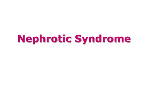 内科学课件23 Nephrotic syndrome