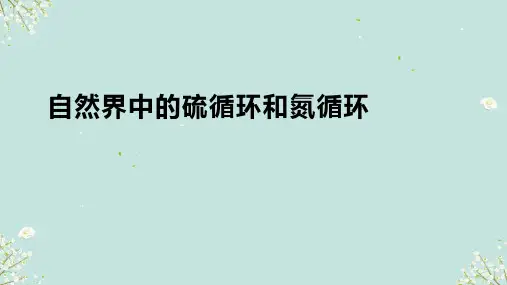 自然界中的硫循环和氮循环ppt课件