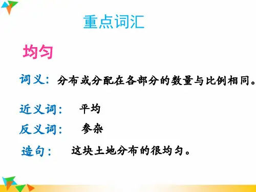 四年级语文上册第四单元17爬山虎的脚重点词汇拓展知识课件冀教版