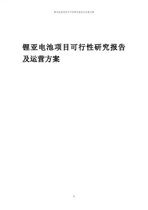 2024年锂亚电池项目可行性研究报告及运营方案