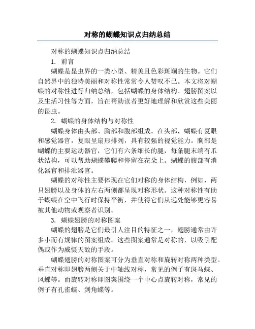 对称的蝴蝶知识点归纳总结