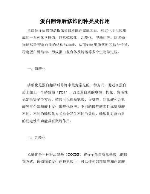 蛋白翻译后修饰的种类及作用