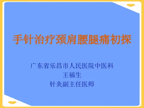 (2021)手针疗法-.正式版PPT资料