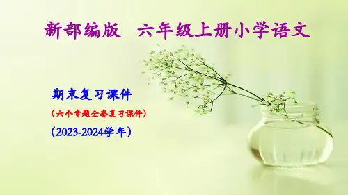 统编版六年级上册语文期末专题复习全套课件(6份打包)(共70张PPT)