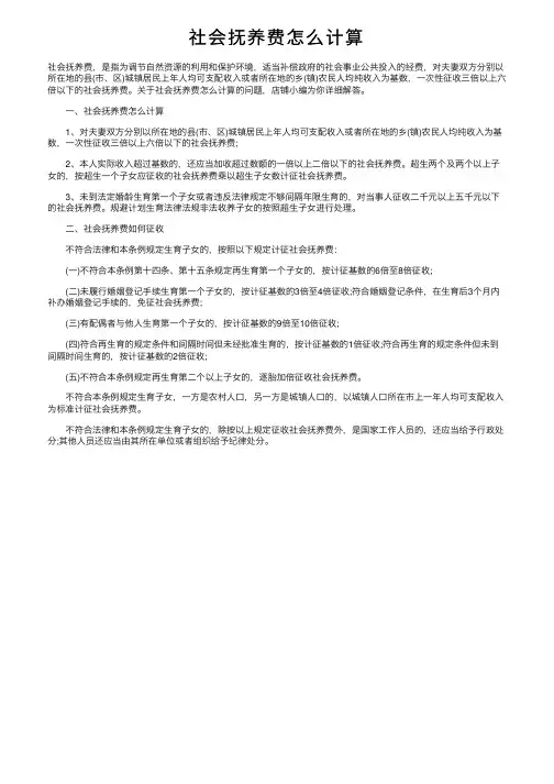 社会抚养费怎么计算