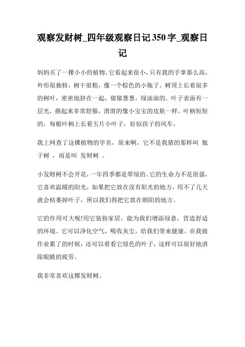 观察发财树_四年级观察日记350字_观察日记.doc