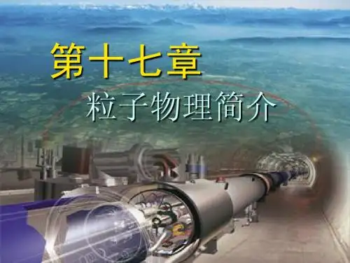 第17章-粒子物理简介