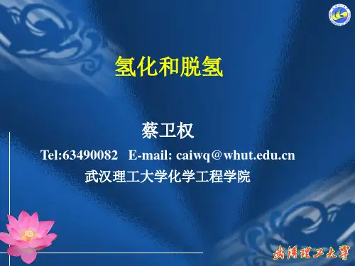 工艺学(课件五氢化和脱氢)