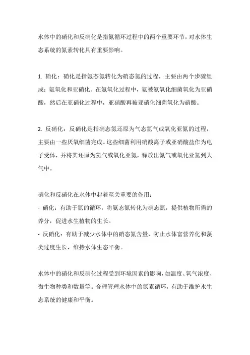 水体硝化反硝化