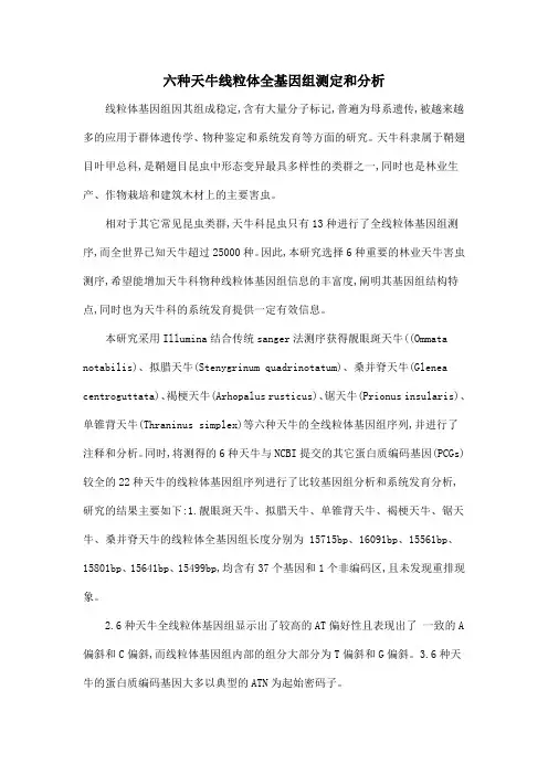 六种天牛线粒体全基因组测定和分析