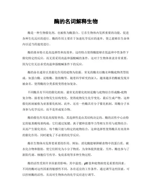 酶的名词解释生物