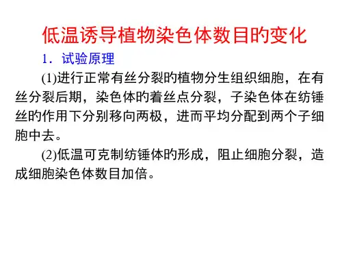 低温诱导植物染色体数目的变化