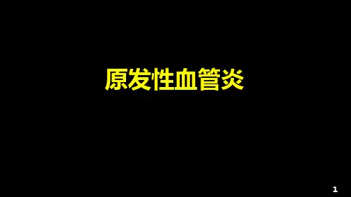 原发性血管炎PPT课件