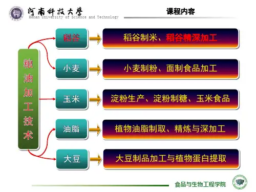 3、稻谷精深加工
