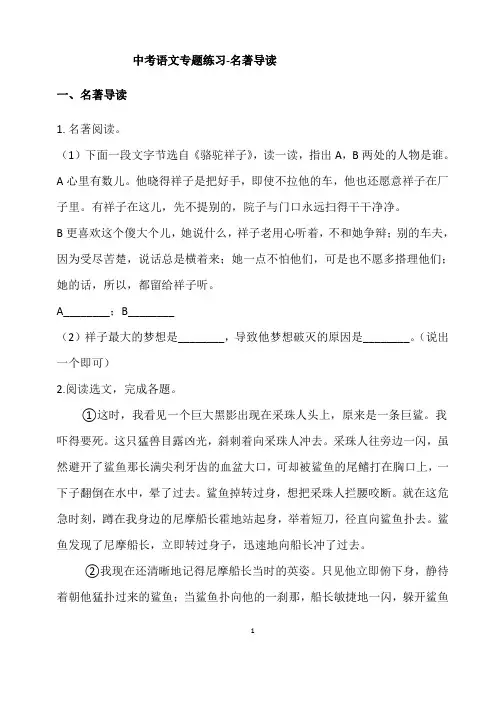 (名师整理)最新部编人教版语文中考《名著导读》专题精练(含答案解析)