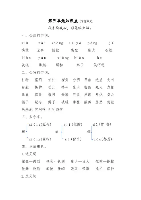 人教版四年级上册语文第五单元知识点