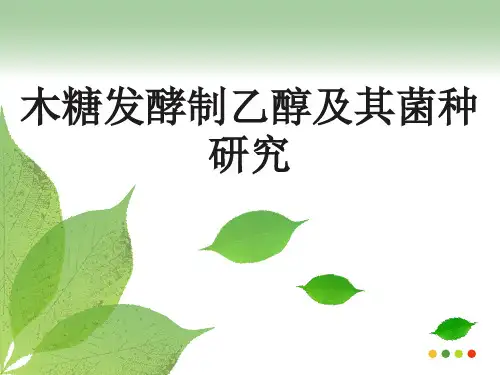 生物制乙醇