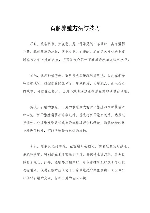 石斛养殖方法与技巧