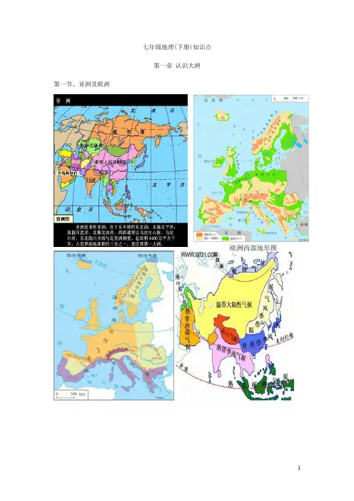 初中地理人教版七年级下知识汇总
