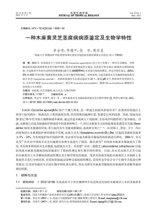 一种木麻黄灵芝茎腐病病原鉴定及生物学特性