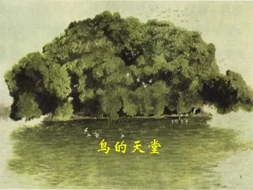 鸟的天堂-优秀教案ppt课件