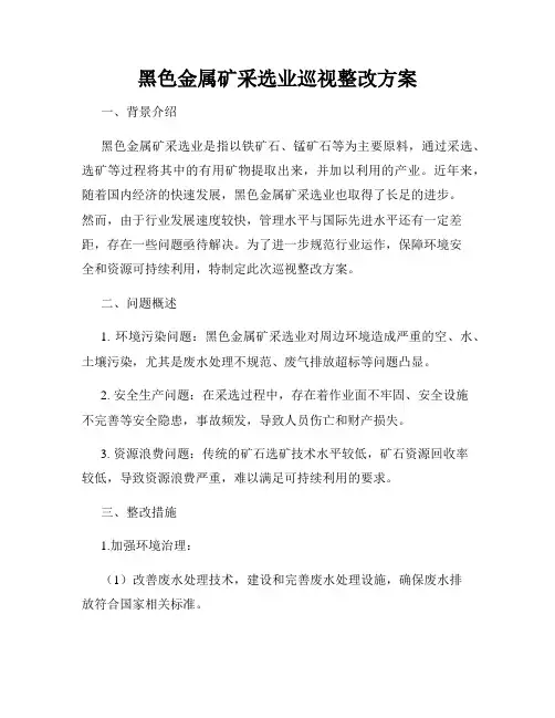 黑色金属矿采选业巡视整改方案