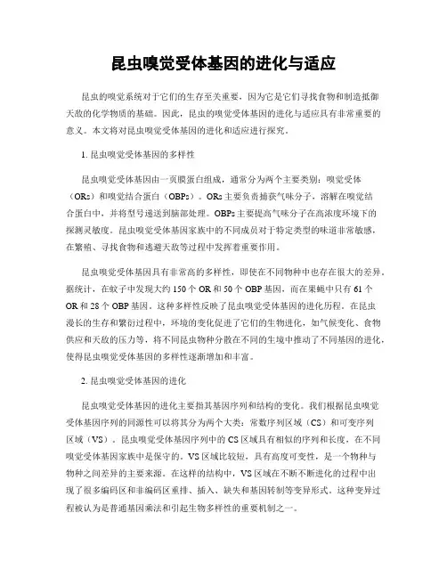 昆虫嗅觉受体基因的进化与适应