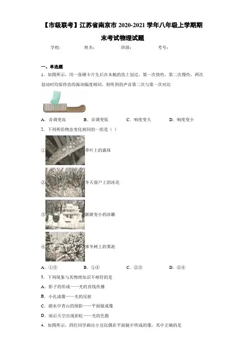 【市级联考】江苏省南京市2020-2021学年八年级上学期期末考试物理试题