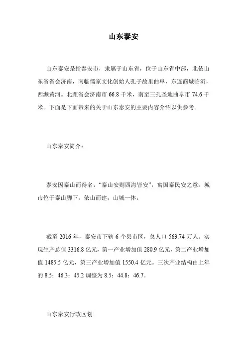 山东泰安.doc