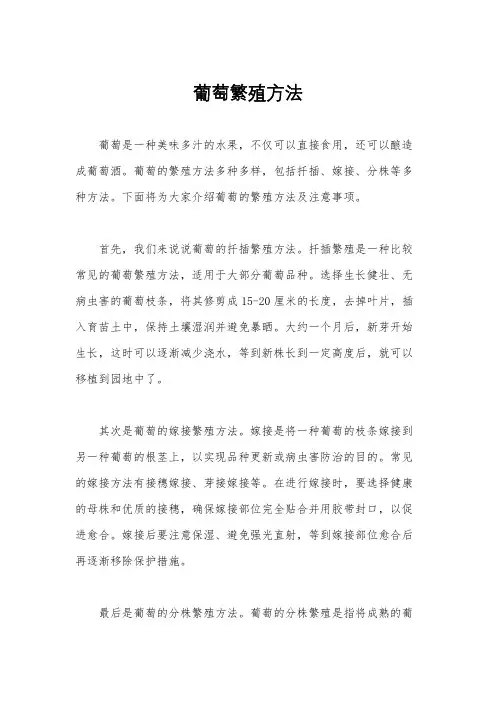 葡萄繁殖方法