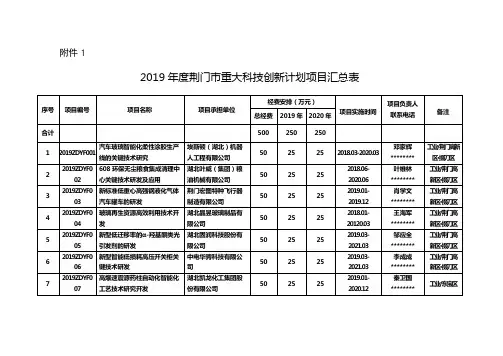 2019年度XX市重大科技创新计划项目汇总表【模板】