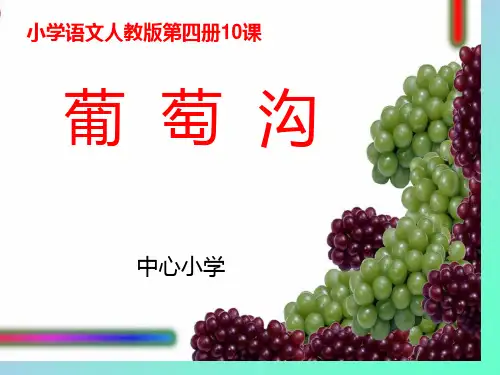 葡萄沟ppt课件