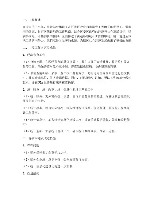 统计站工作总结上半年