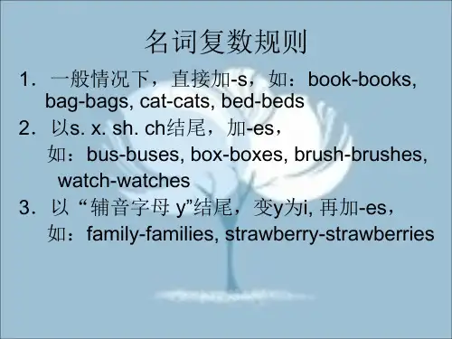小学英语语法讲解练习及答案ppt课件