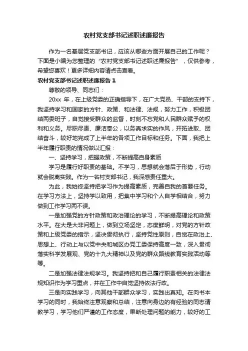 农村党支部书记述职述廉报告