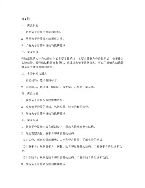兔子骨骼标本实验报告(3篇)