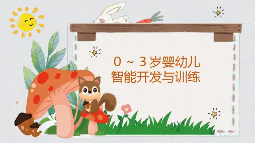 婴儿感知智能开发与训练
