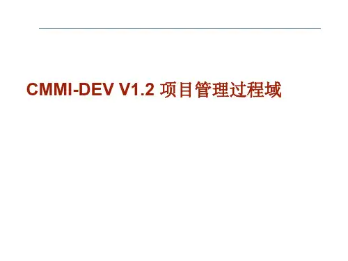 某项目管理过程讲义(PPT 165页)