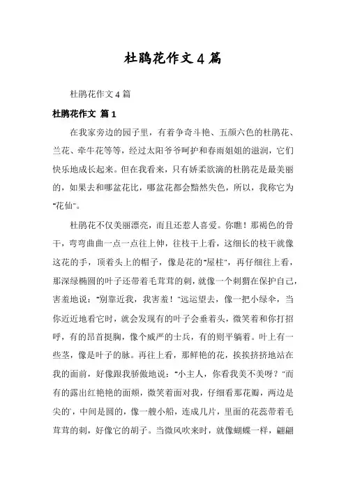 杜鹃花作文4篇
